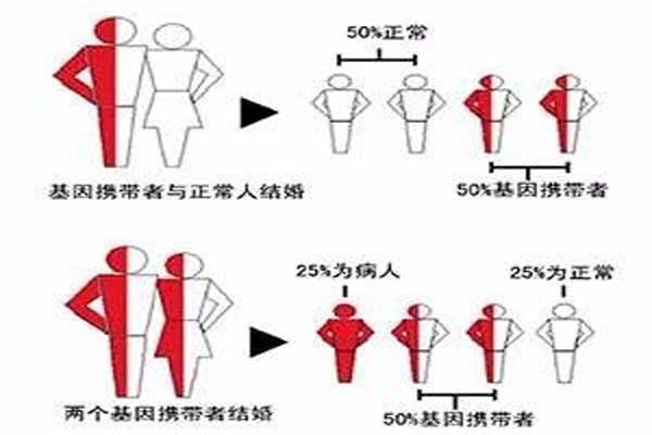 地中海贫血遗传规律